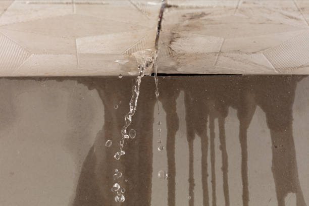 Professional Structural Drying technician working in High Ridge, MO